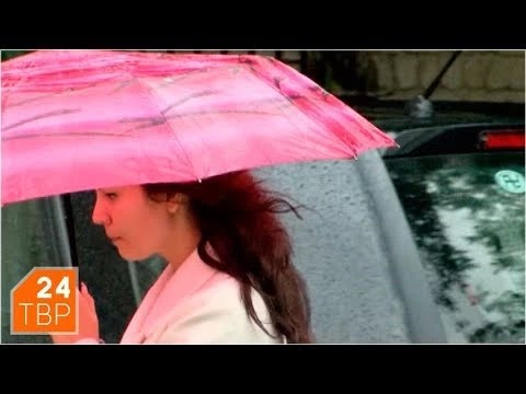Life: Осенний дождь
