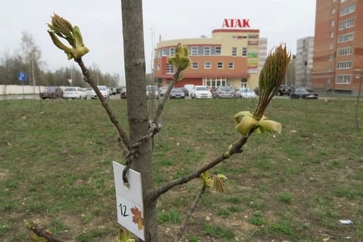 Острая нужда в торговых центрах?