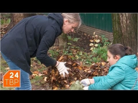 Выходные с метлой и граблями