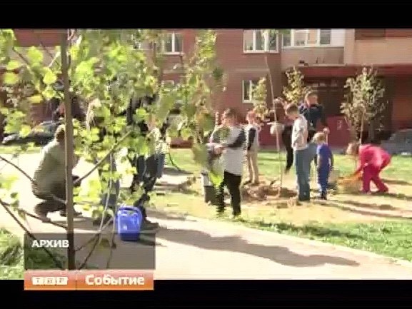 Более полутора миллионов деревьев высадят в Подмосковье в начале сентября
