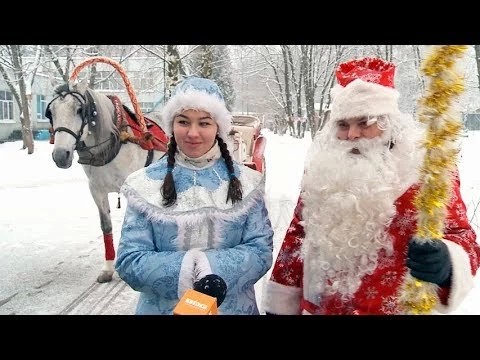Настоящий конь, настоящая карета, настоящий Дед Мороз