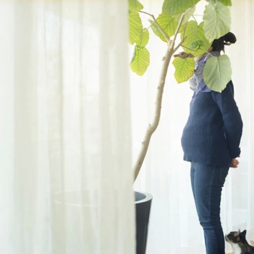 Мама! Пятая неделя