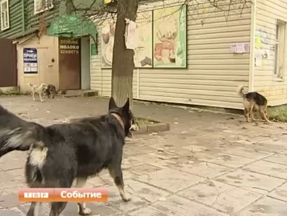 Новости коротко