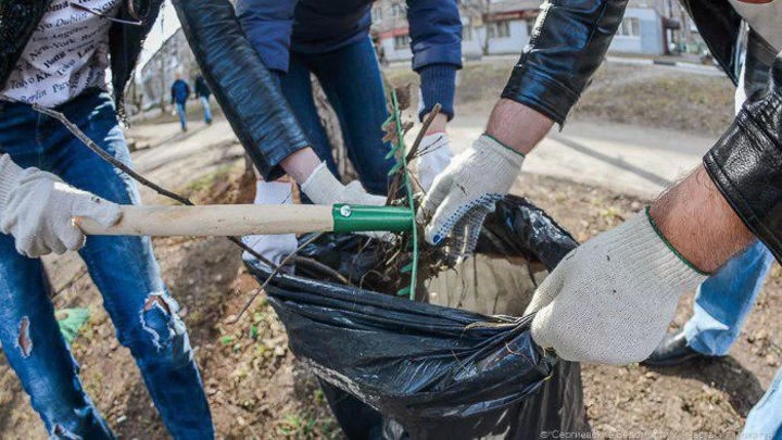 В Подмосковье дан старт субботнику