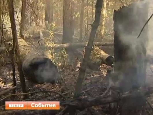 В Торгашине горит лес