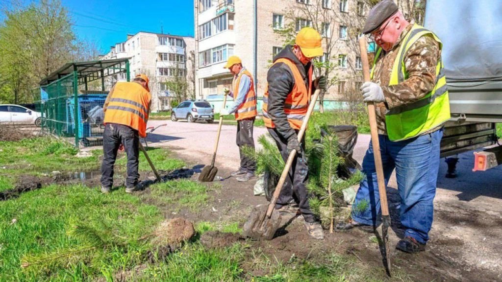 В Сергиевом Посаде проводят озеленение контейнерных площадок
