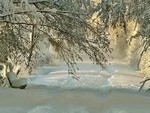 Снег вывозили два дня