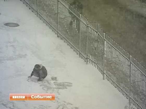Ноябрьский снегопад в Сергиевом Посаде. Видео без комментариев