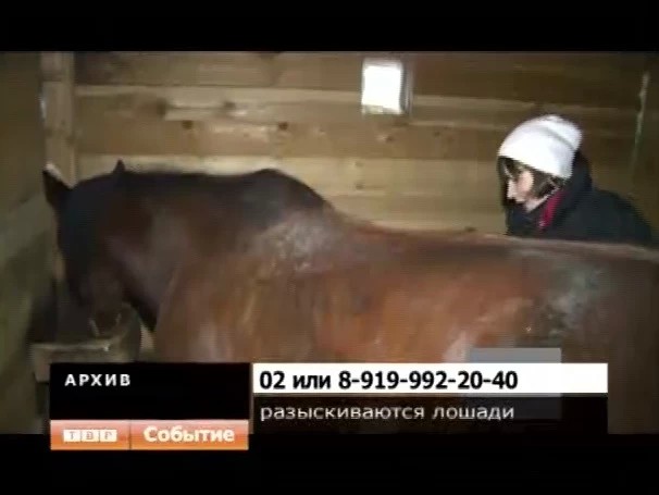 Украли лошадей