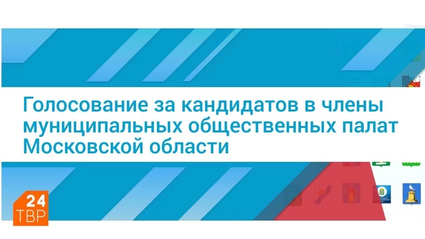 Голосование за  кандидатов в общественную палату приостановлено