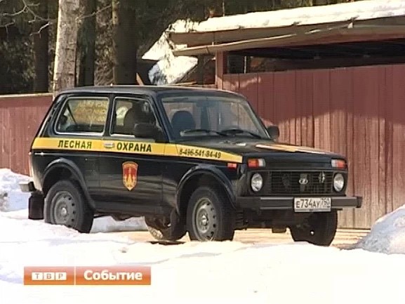 Короедам вопреки. В районе состоится масштабная акция по высадке леса
