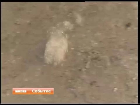 Тополиный пух, огонь, пожар