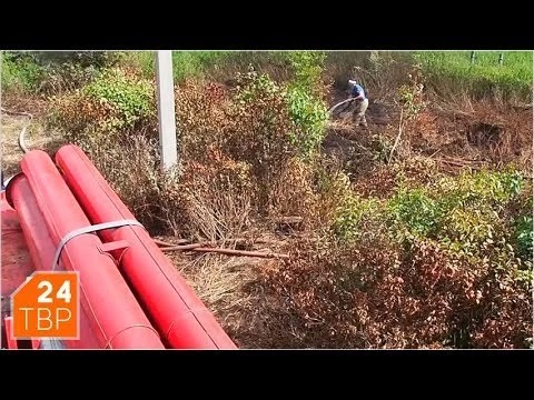 Горел торф вблизи Федорцова