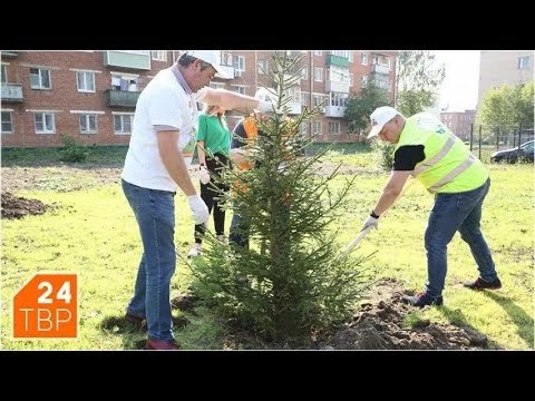 Сажали всем Сергиево-Посадским районом наш лес