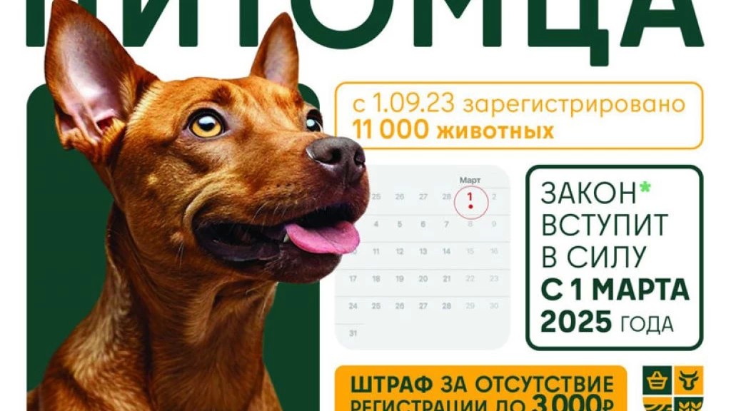 Владельцам домашних животных из Сергиево-Посадского округа необходимо зарегистрировать своих питомцев до 1 марта