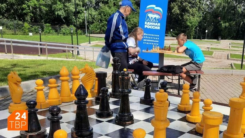 В рамках Дня навыков молодежи единороссы Сергиева Посада провели шахматный турнир