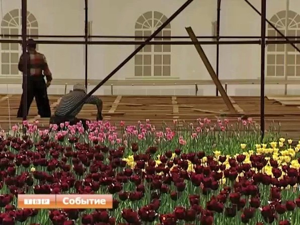 Советская площадь станет центром фестиваля игрушки