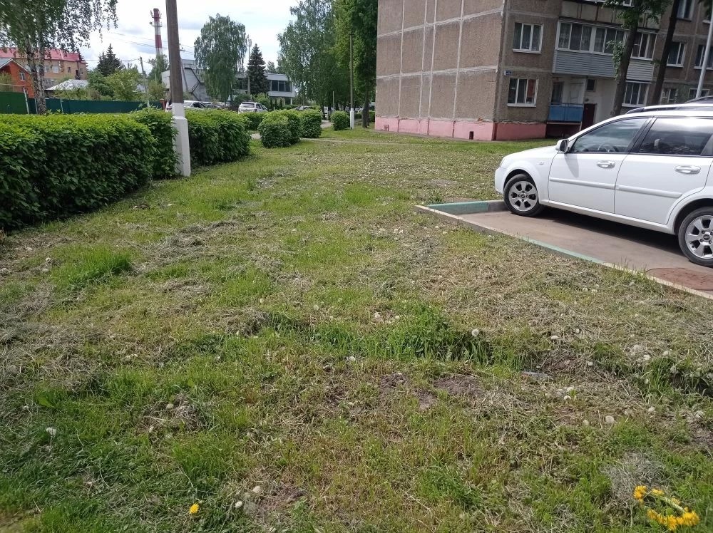 Более 16 территорий общего пользования окошено по предписаниям Госадмтехнадзора в Сергиево-Посадском г.о.