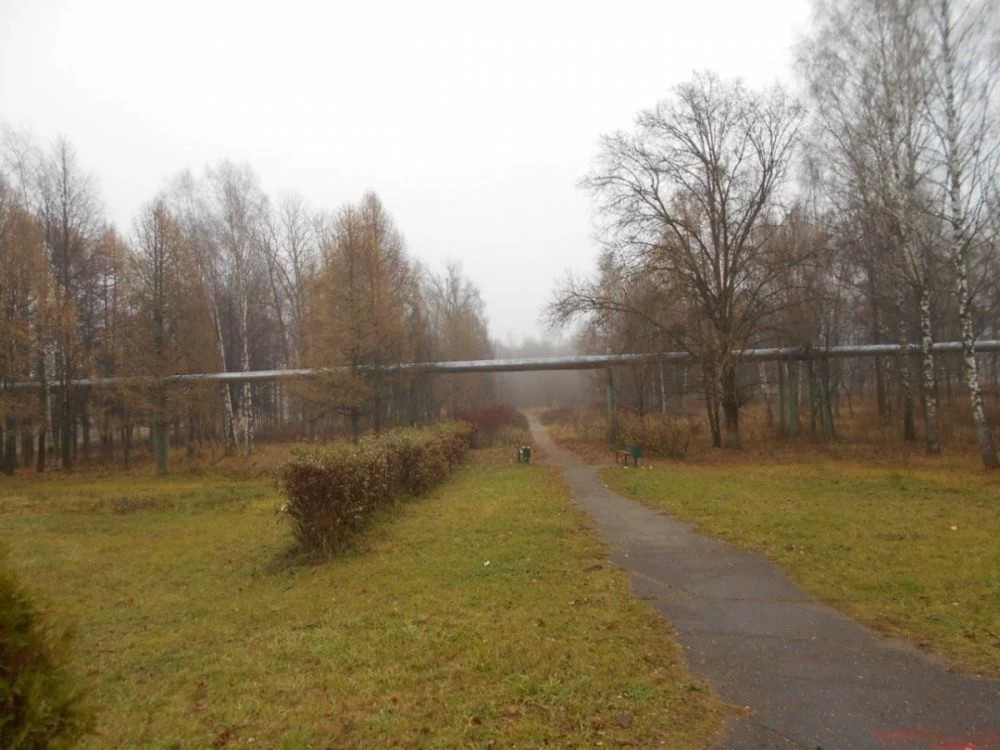 Жители могут предложить функциональное наполнение парка «Победы» в Краснозаводске