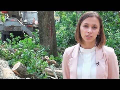 Во дворах на Ферме расширяют парковки
