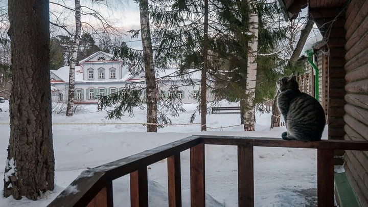 Культпоход «Мы идём в Абрамцево». Присоединяйтесь!
