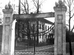 Как развивали птицеводство