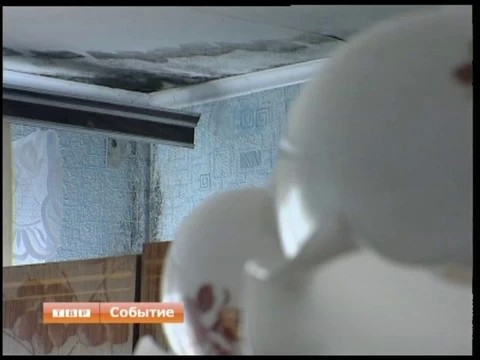 Квартиру съел грибок