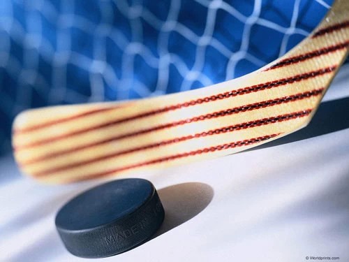 Лето 2014 года Хотьково встретит на коньках