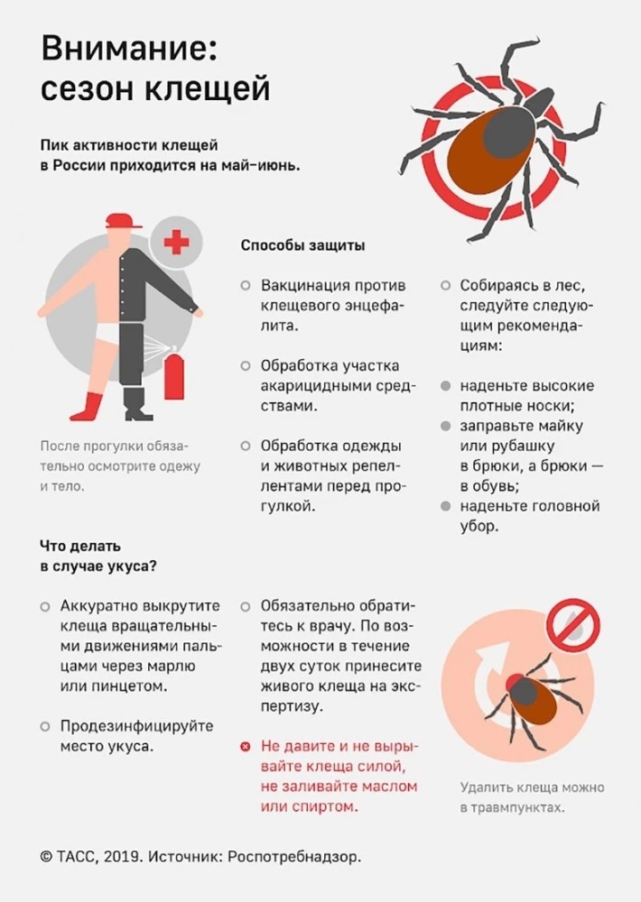 Большие неприятности от маленького укуса