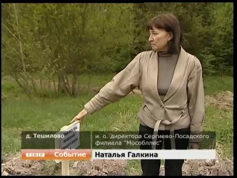 Первый национальный лес вырастет у деревни Тешилово
