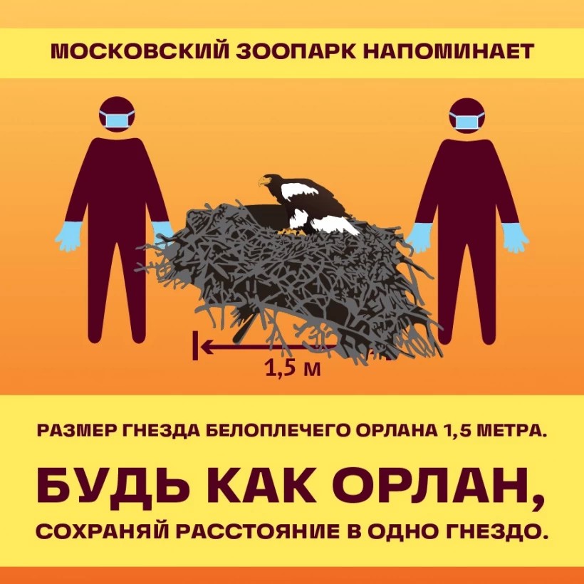 Московский зоопарк открывается с 16 июня
