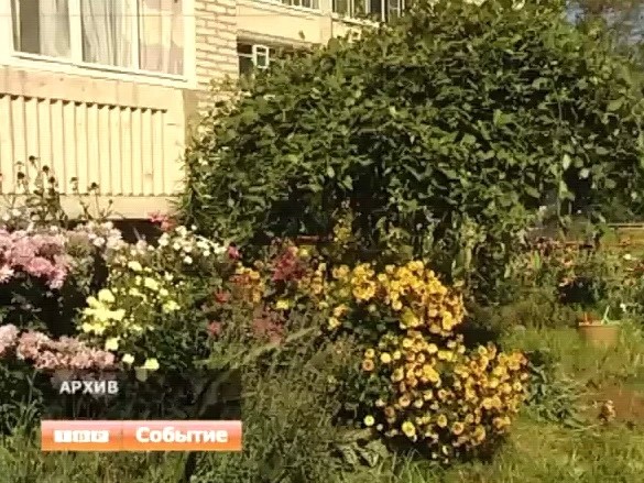 Приз за лучший цветник