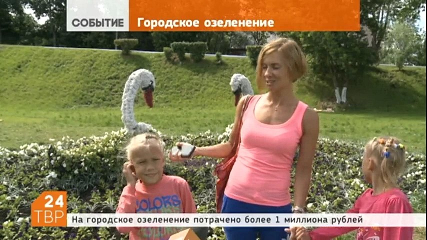 В Сергиевом Посаде на Блинной горе снова поселились лебеди