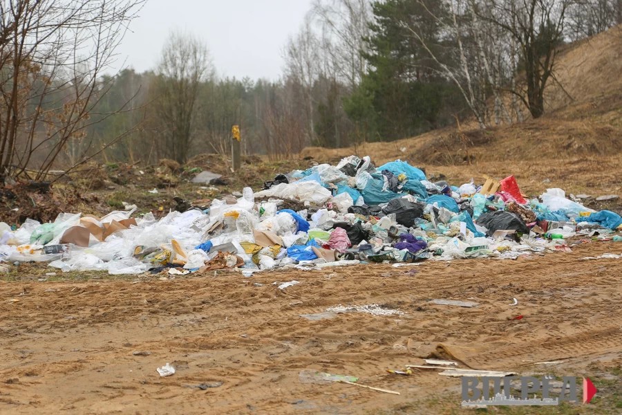 В Сергиево-Посадском городском округе продолжается борьба с «чёрными» мусорщиками