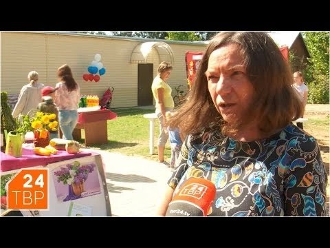 СНТ «Северянин»: выборы пройдут, клуб и дорога останутся