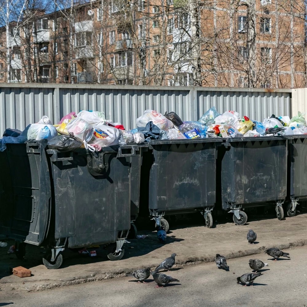 Кто получит компенсацию за вывоз мусора