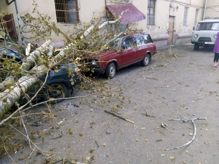 Дерево помяло машины на Скобянке