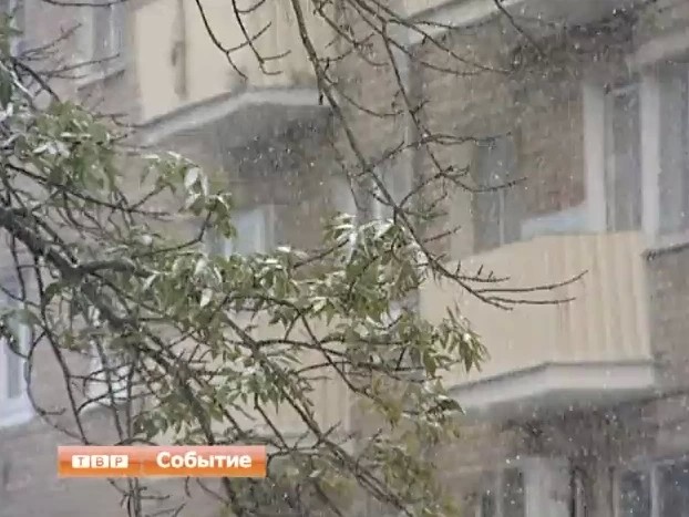 Первый снег