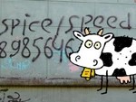 Антинаркотическая комиссия подвела итоги