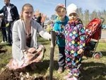 На Скитских прудах расцветёт сирень Победы