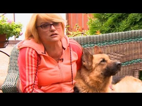 Собака Ольги Пастор выбрасывает мусор и ходит за покупками
