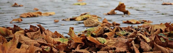 Потенциально опасная погода ожидает сергиевопосадцев 14 октября