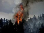 Скажи "нет" палам сухой травы