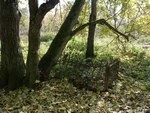 Субботник на Никольском кладбище