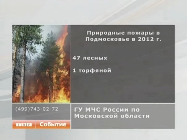 Статистика природных пожаров в Подмосковье в 2012 году