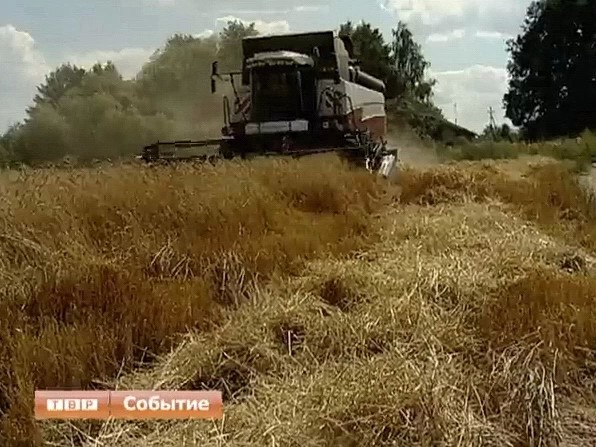 Московская область впервые в истории сельского хозяйства региона достигла показателя урожайности в 32,6 центнера с гектара, это превышает как средний показатель урожайности в Центральном федеральном округе, так и показатель по России в целом.