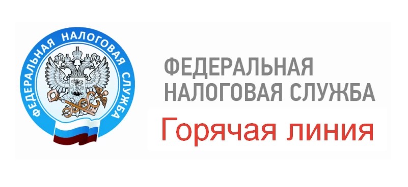 На вопросы о налоге на профессиональный доход отвечает начальник инспекции
