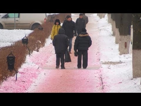 Тротуар в розовом цвете