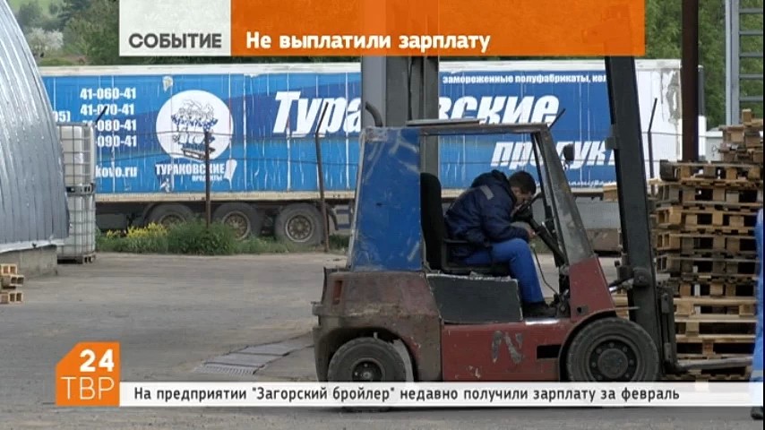 У тураковских птичников вновь патовая ситуация. Трёхмесячные долги по зарплате