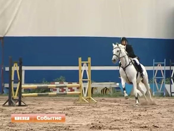 Новости коротко